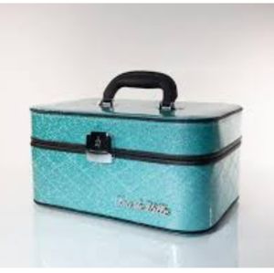 ISO Mermaid Vanity Case